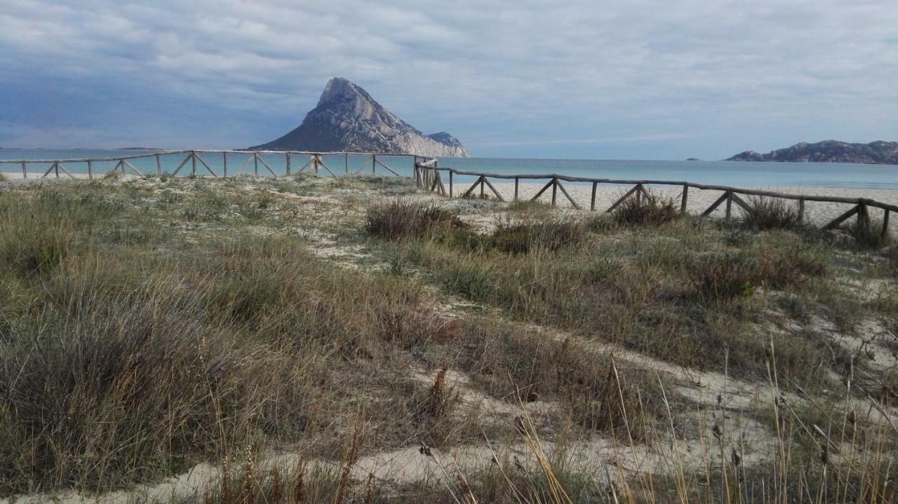 Appartamenti Sardegna Loiri Porto San Paolo Exterior foto