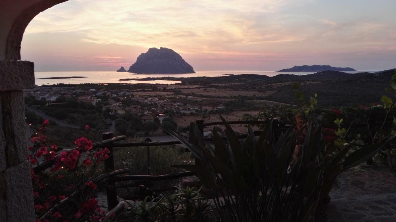 Appartamenti Sardegna Loiri Porto San Paolo Exterior foto
